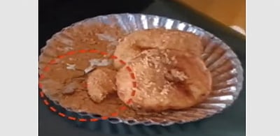 கேரள ரயில் நிலையத்தில் வடைக்கு வழங்கிய சட்டினியில் தவளை: பயணி அதிர்ச்சி!