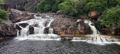 மணிமுத்தாறு அருவியில் குளிக்கத் தடை