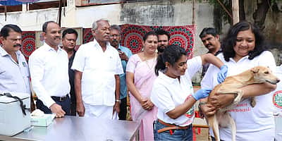 நாய்களுக்கு ‘ரேபிஸ்’ தடுப்பூசி முகாம்