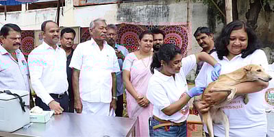 நாய்களுக்கு ‘ரேபிஸ்’ தடுப்பூசி முகாம்