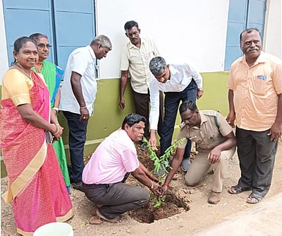 அரசுப் பள்ளிகளில் 1300 மரக்கன்றுகள் நடும் விழா