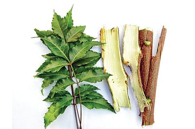 ஆயுள் காக்கும் ஆயுர்வேதம்: மார்பில்  அரிப்பு குணமடைய வழி என்ன?