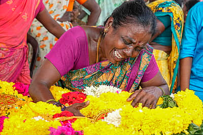 தன் குஞ்சுகளைத் தனக்குத் தெரியாதா?