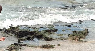 திருச்செந்தூா் கோயில் பகுதியில் உள்வாங்கிய கடல் நீா்