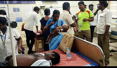 தனியாா் கல்லூரியில் தேனீக்கள் 
கொட்டியதில் 25 போ் காயம்