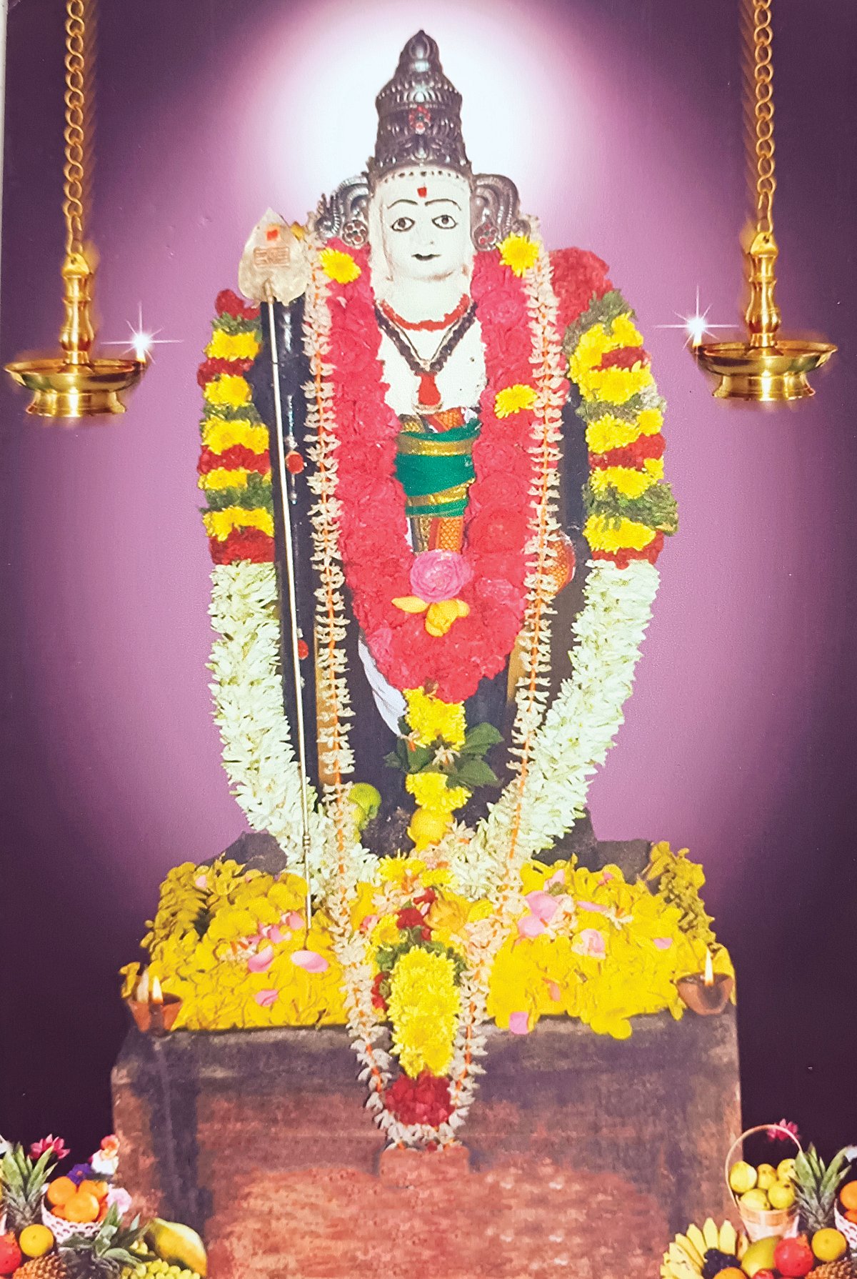 திருமண வரம் அருளும்
 தண்டாயுதபாணி