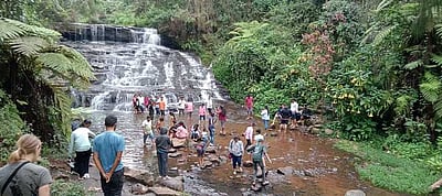 கொடைக்கானலில் தொடா் மழை