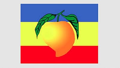 விக்கிரவாண்டியில் பாமக போட்டி!