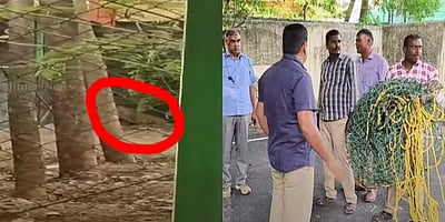 திருப்பத்தூரில் தனியார் பள்ளிக்குள் புகுந்த சிறுத்தை! 