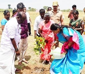 பெரம்பலூரை பசுமையாக்க தொடா் நடவடிக்கை: ஆட்சியா் தகவல்