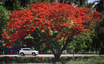 இது வசந்த காலமா? பிழையற்ற தமிழ் அறிவோம்! - 69