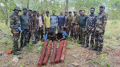 செம்மரக் கடத்தல்: தமிழகத்தைச் சோ்ந்த 2 போ் கைது