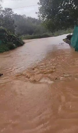 தொடா் மழையால் வெள்ளக்காடான கூடலூா், பந்தலூா் பகுதிகள்