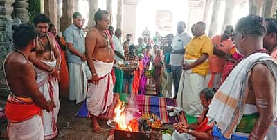 பழனி  பெரியநாயகி அம்மன் 
கோயிலில் அன்னாபிஷேகம்