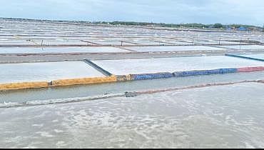 உப்பு உற்பத்தியில் நவீன இயந்திரங்களைப் பயன்படுத்த ஆலோசனை -உப்பு நிறுவன மேலாண்மை இயக்குநா் மகேஸ்வரன்