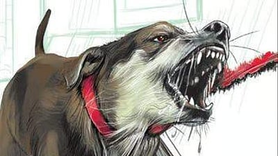 தெலங்கானாவில் தெரு நாய் கடித்து ஒரு மாத குழந்தை பலி!