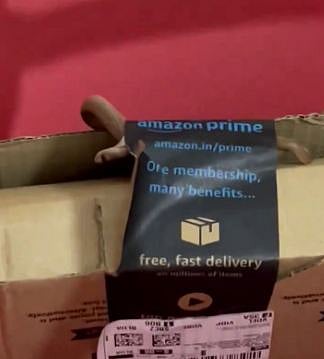 பார்சலில் வந்த பாம்பு!