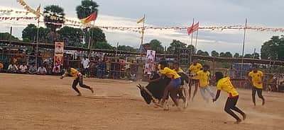 ஏ.விளாக்குளத்தில் வடமாடு மஞ்சுவிரட்டு -20 வீரா்கள் காயம்