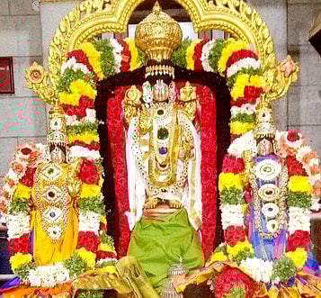 மணக்கோலத்தில் வரதராஜ பெருமாள்...