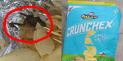 குஜராத்: உருளைக்கிழங்கு சிப்ஸ் பாக்கெட்டில் இறந்த தவளை!