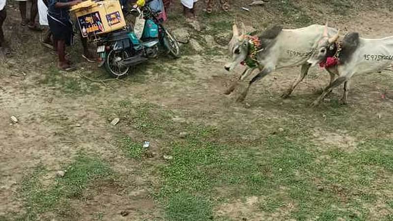பார்வையாளர்கள் பலி