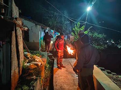 குடியிருப்புப் பகுதிக்குள் நுழைந்த கரடியை விரட்டிய வனத் துறையினா்