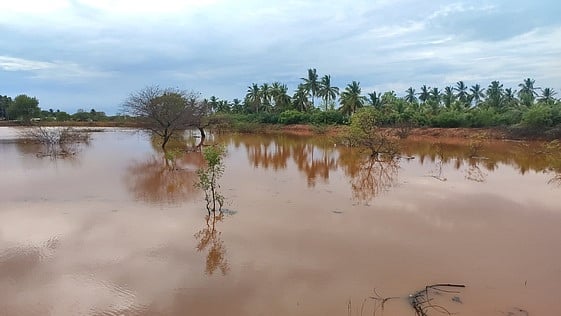 கோடை மழைநீரை பயன்படுத்த 
இயலாமல் தவிக்கும் கரூா் விவசாயிகள்