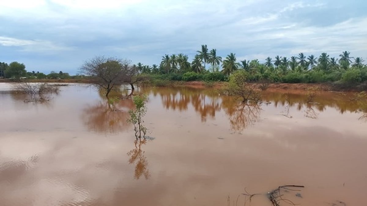 கோடை மழைநீரை பயன்படுத்த
இயலாமல் தவிக்கும் கரூா் விவசாயிகள்