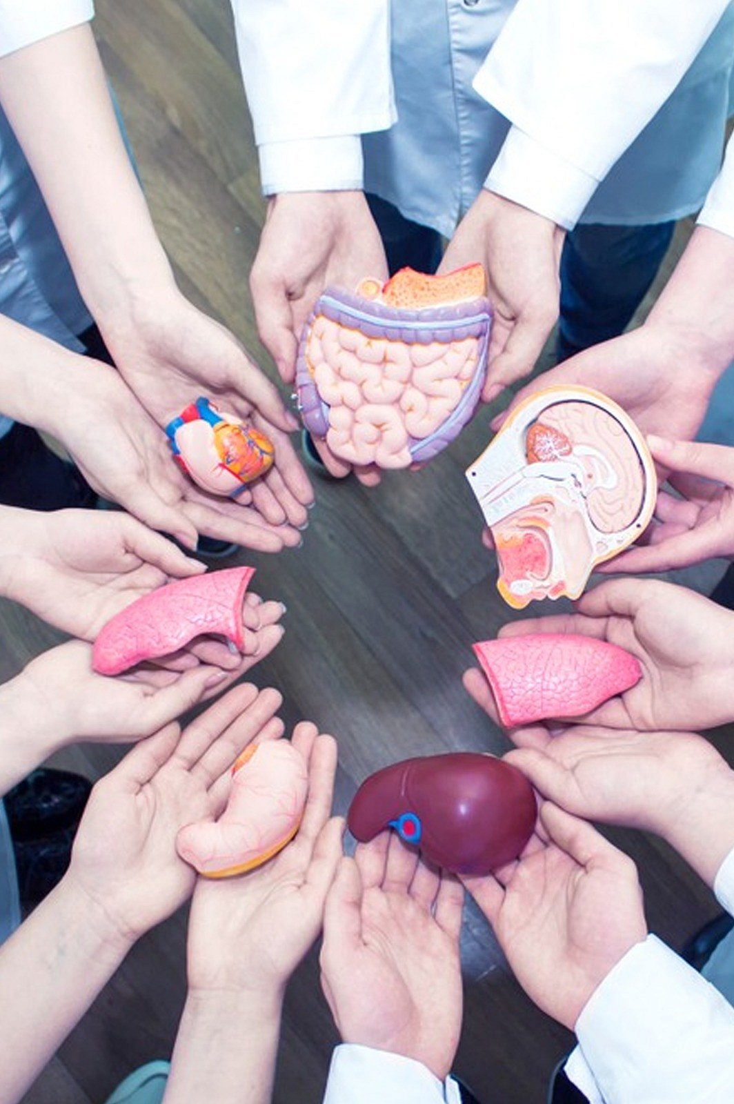  உடலுறுப்பு தானம்