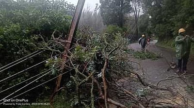 உதகை, கூடலூரில் பலத்த மழை:
முக்கிய சுற்றுலாத் தலங்கள் மூடல்