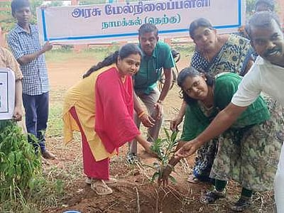 அரசுப் பள்ளிகளில் மரக்கன்றுகள் நடவு