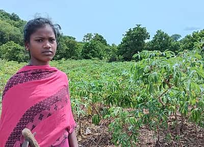 திருச்சி என்ஐடியில் சோ்க்கை பெற்று பச்சமலை பழங்குடியின மாணவி சாதனை