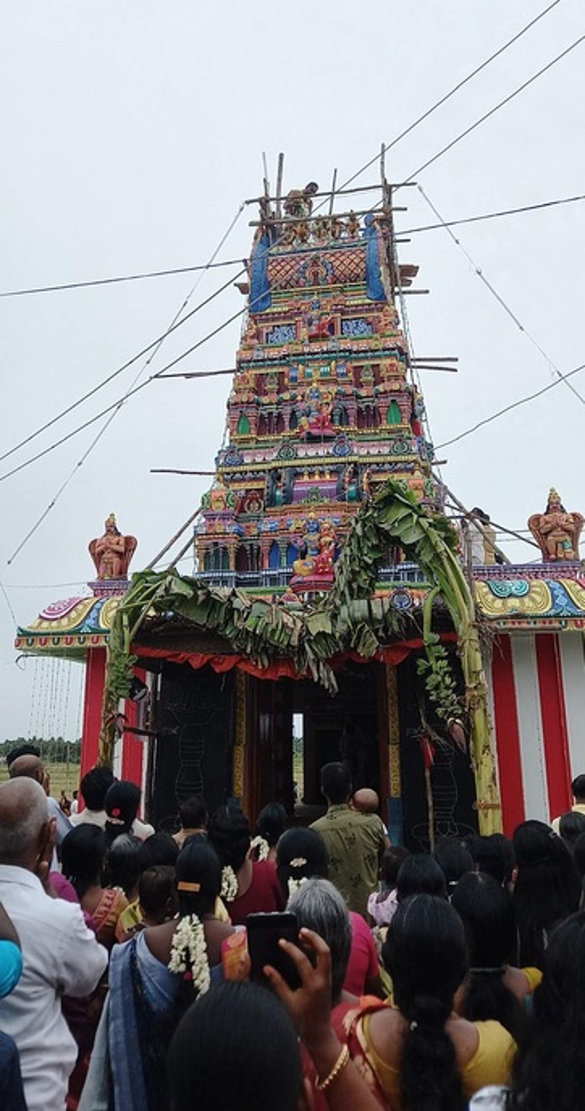 News image