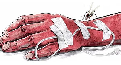 கர்நாடகத்தில் அதிகரிக்கும் டெங்கு காய்ச்சல்!