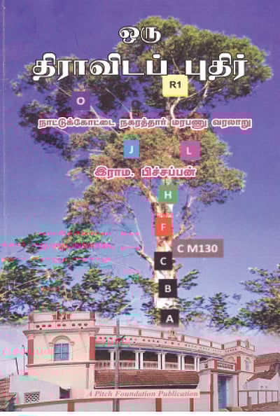 ஒரு திராவிடப் புதிர்