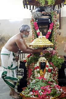 காமாட்சி அம்மனுக்கு தங்க முலாம் பூசப்பட்ட வெள்ளிக்குடை காணிக்கை