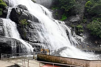 குற்றாலம் அருவிகளில் வெள்ளப்பெருக்கு; குளிக்கத் தடை