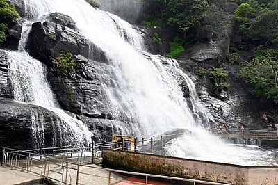 குற்றாலம் அருவிகளில் வெள்ளப்பெருக்கு; குளிக்கத் தடை