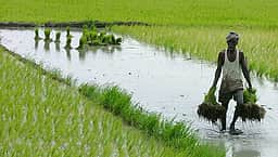 மத்திய, மாநில அரசு திட்டங்களில் பயன் பெற விவசாய அடையாள அட்டை எண் கட்டாயம்