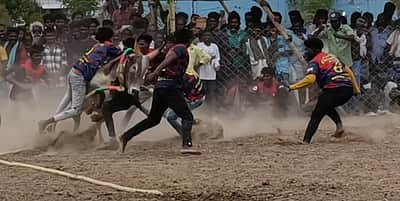 முதுகுளத்தூா் அருகே வடமாடு மஞ்சுவிரட்டு