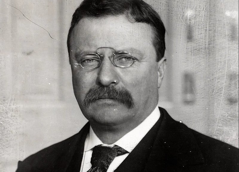 தியோடர் ரூஸ்வெல்ட்