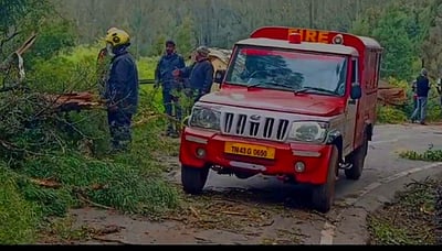 தொட்டபெட்டா செல்ல சுற்றுலாப் பயணிகளுக்குத் தடை: சாலையில் மரங்கள் விழுந்ததால் நடவடிக்கை