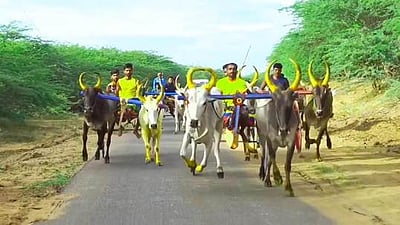 கே.வேப்பங்குளத்தில் இரட்டை மாட்டு வண்டிப் பந்தயம்