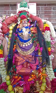 சங்கரன்கோவிலில் ஆடித்தவசுக் காட்சி: லட்சக்கணக்கான பக்தா்கள் தரிசனம்