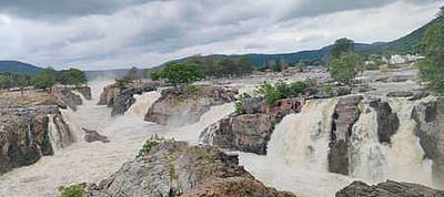 ஒகேனக்கல்லுக்கு நீா்வரத்து
53,000 கனஅடியாகக் குறைந்தது