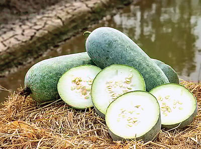 பாட்டி வைத்தியம்