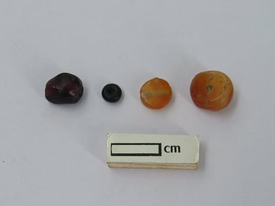 பொற்பனைக்கோட்டை அகழாய்வில் சூது பவள மணிகள் கண்டெடுப்பு