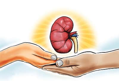உங்கள் சிறுநீரகம் நலமா? உறுதி செய்யும் சில கேள்விகள்!