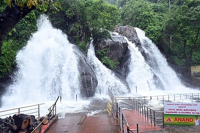குற்றாலம் அருவிகளில் கடும் வெள்ளப்பெருக்கு - சுற்றுலா பயணிகள் குளிக்கத் தடை