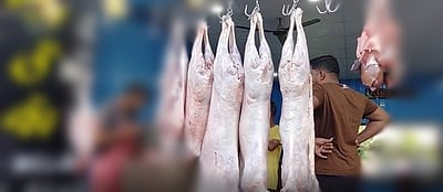 மட்டனுக்கு பதிலாக நாய் இறைச்சி விற்பனை? அதிர்ச்சியில் வாடிக்கையாளர்கள்!